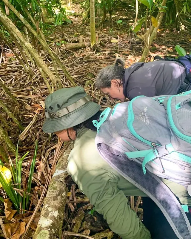 Halde Rogers investigando el terreno