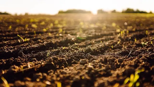 Tierra de cultivo deteriorada