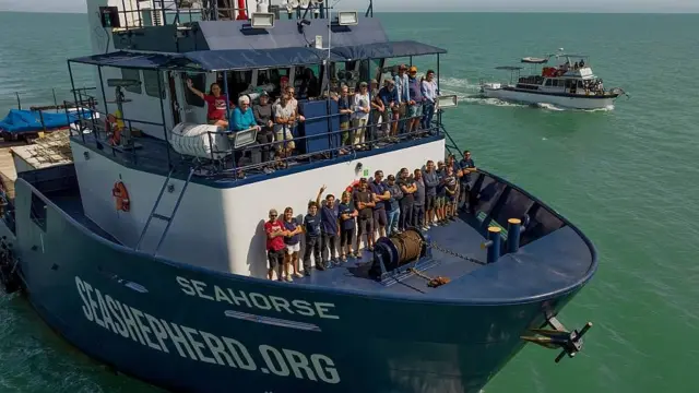 Integrantes de un crucero de observación de la vaquita marina en un barco de Sea Shepherd