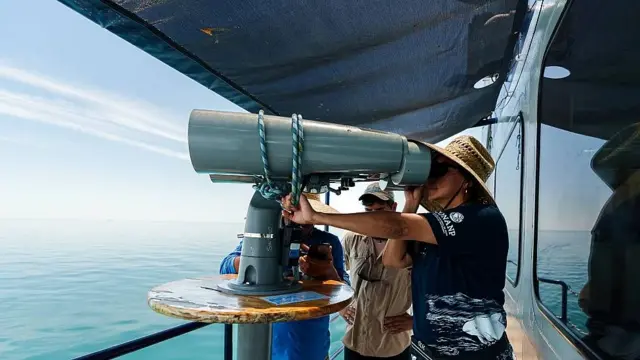 Una científica de la CONANP usa binoculares Big Eyes a bordo de un barco de Sea Shepherd durante un crucero de observación