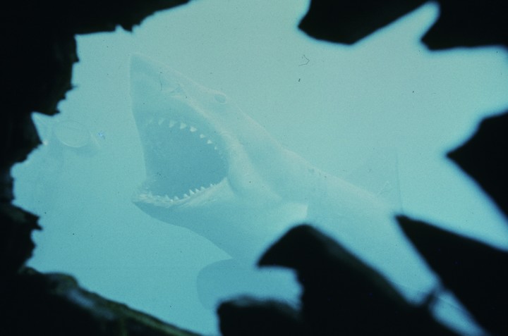 Uno de los tiburones mecánicos se hundió en el fondo del océano apenas lo pusieron en el mar.