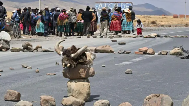 El esqueleto de la cabeza de un animal muerto se ve en una carretera bloqueada durante una protesta de indígenas partidarios del ex presidente boliviano Evo Morales en Huarina, Bolivia, el 16 de septiembre de 2024.