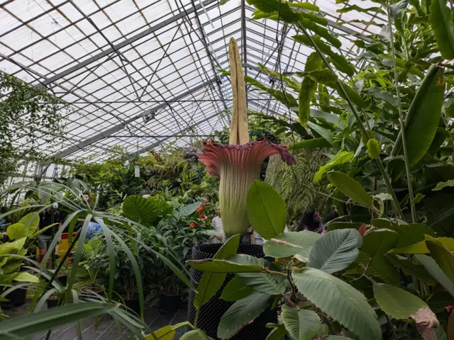 El aro gigante conocido como New Reekie, de Edinburgo, en Escocia