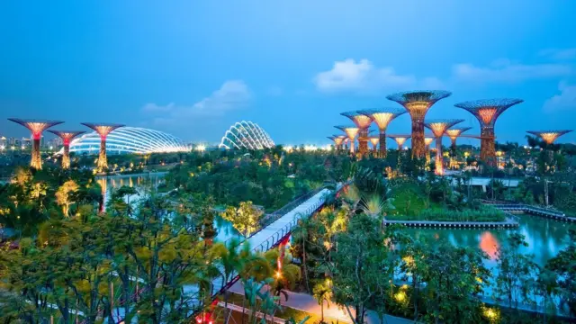 Los jardines de la bahía de Singapur, con el cielo crepuscular reflejado en el agua, árboles verdes y grandes estructuras modernas iluninadas, inspiradas en flores abiertas y un puente peatonal que conecta los jardines