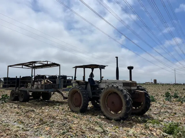 Un tractor en un campo de Oxnard, California, Estados Unidos, el 11 de junio de 2025.