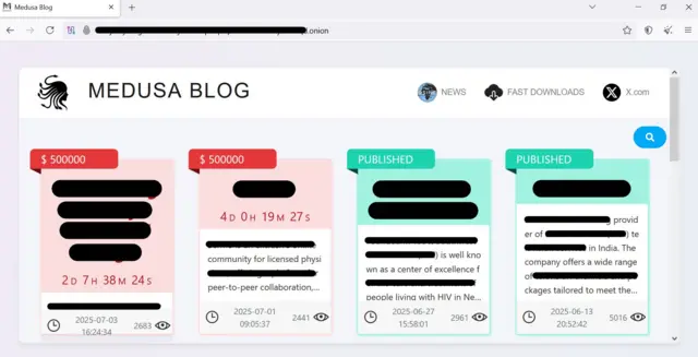 El sitio web de la banda Medusa en la red oscura con los nombres de las empresas ocultos.