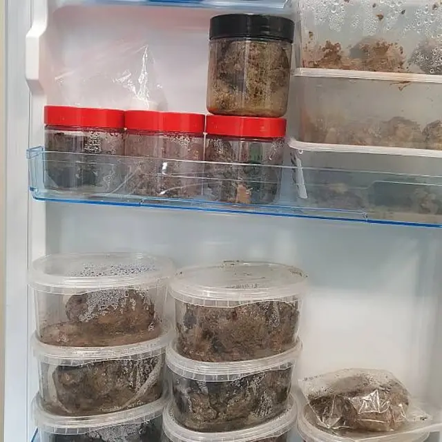 Contenedores plásticos con fragmentos de cerebros en una nevera en la Universidad de Oxford