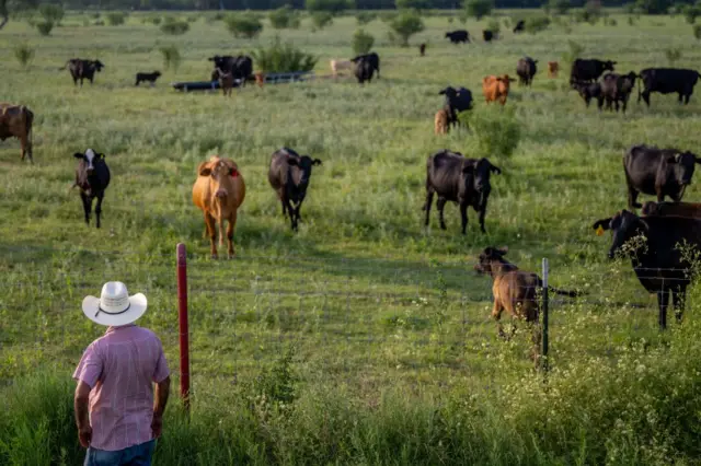 Texas