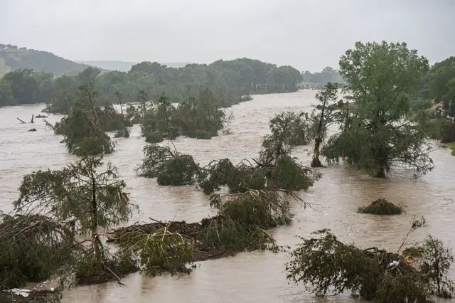 Copas de los árboles emergen de las aguas desbordadas del río Guadalupe