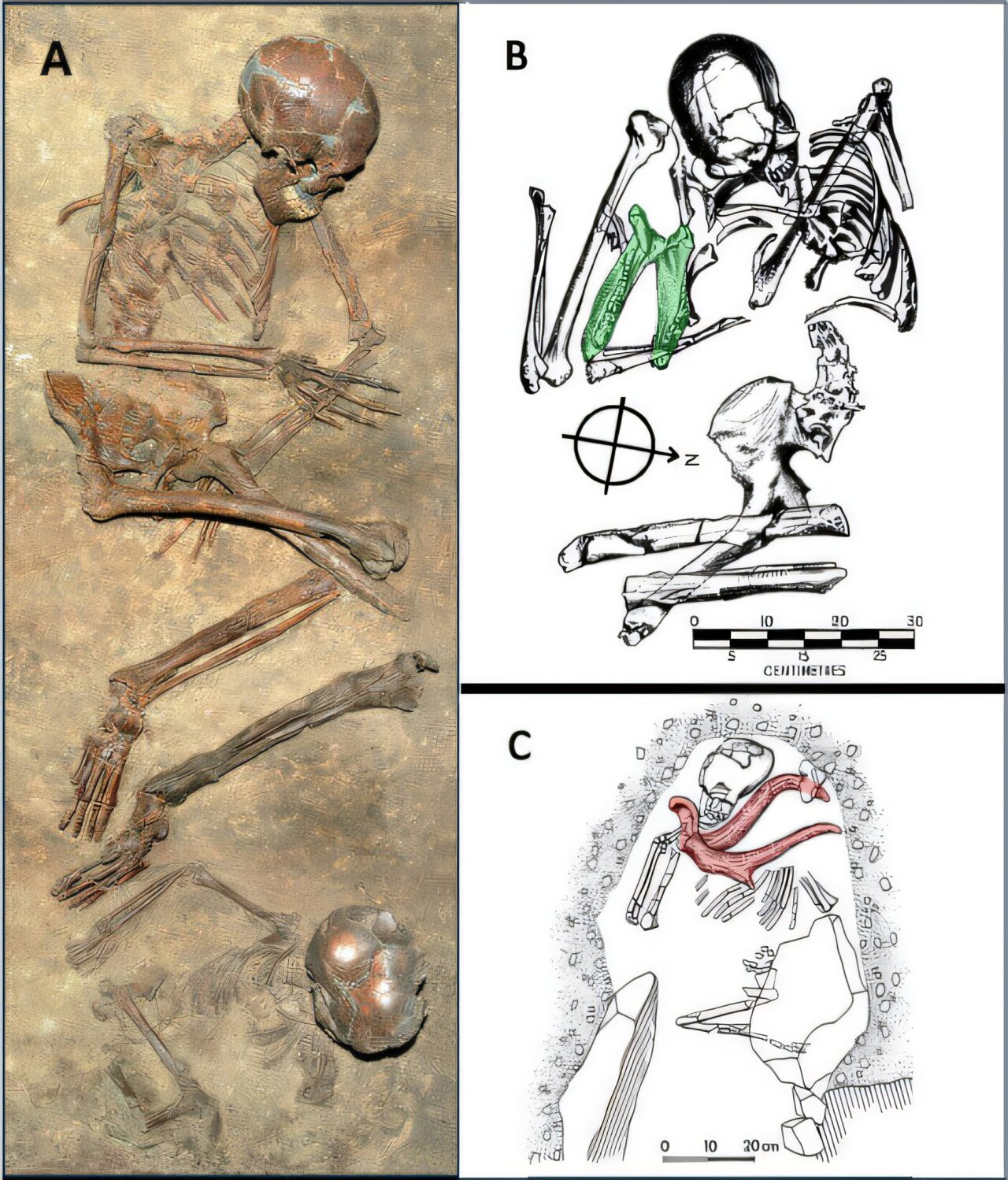 Ejemplos de enterramientos tempranos de Homo sapiens