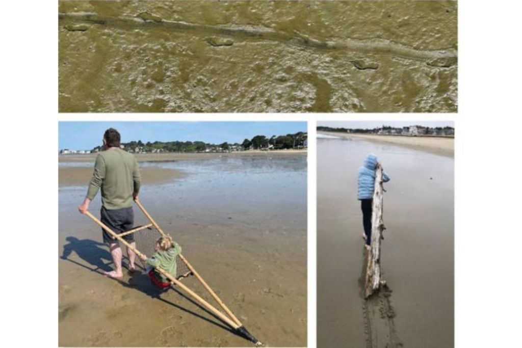 Experimentos modernos con travois se llevaron a cabo en Poole Harbour (Reino Unido) y en una playa de Maine (EE.UU.). La parte inferior presenta los resultados de las pruebas de campo