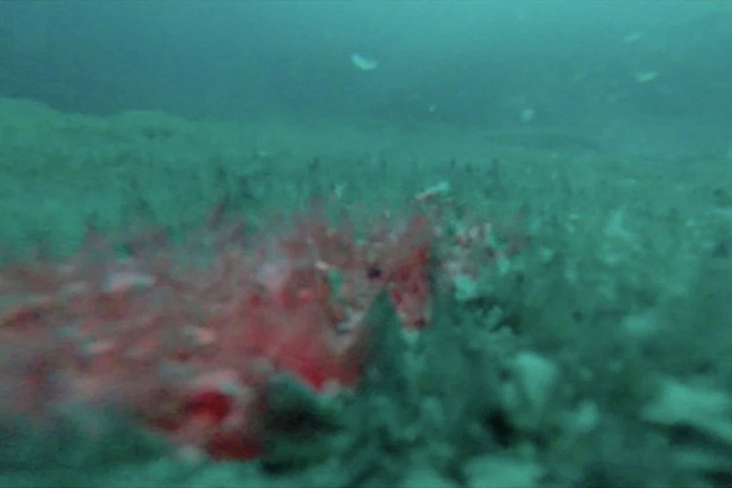 Exploración subacuática del fondo del Lago Enigma