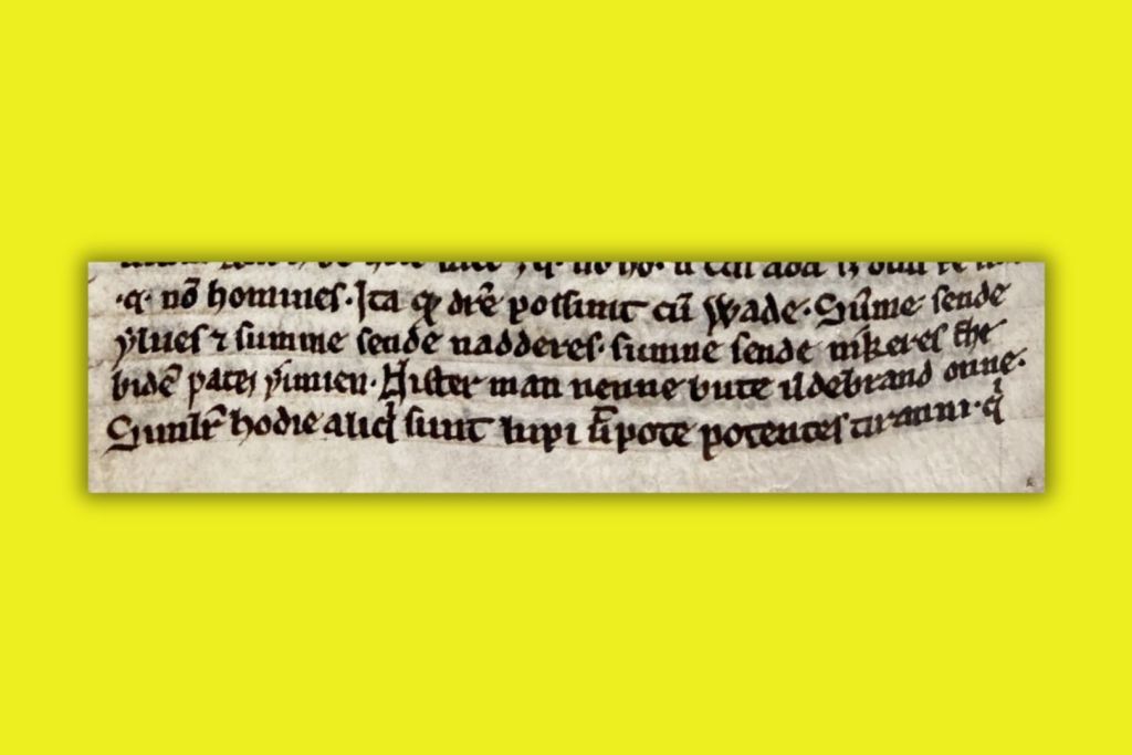 Extracto del manuscrito donde se conserva el único fragmento conocido del Cantar de Wade