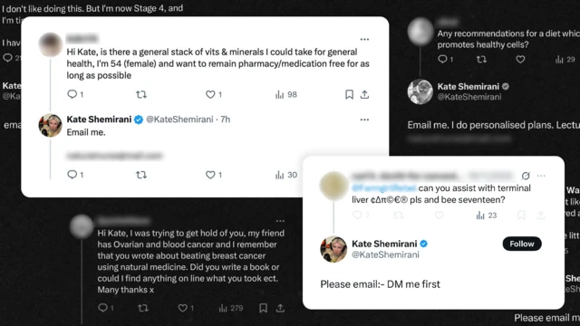 Gráfico muestra varios mensajes en inglés en X superimpuestos, con seguidores de Kate Shemirani solicitando consejos