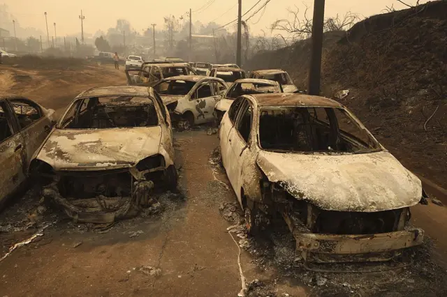 Vista de varios coches calcinados tras un incendio forestal en el municipio de Penco, Chile, el 18 de enero de 2026.