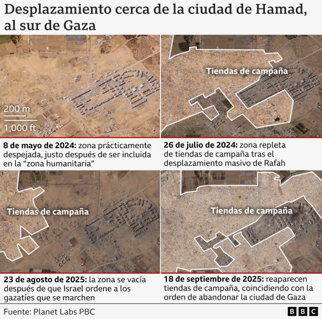 Gráfico que muestra imágenes satelitales de la misma zona, el barrio de Hamad City, en cuatro fechas diferentes. El 8 de mayo de 2024, estaba prácticamente despejado de tiendas de campaña. El 26 de julio de 2024, una amplia zona estaba cubierta de tiendas de campaña tras el desplazamiento masivo de Rafah. El 23 de agosto de 2025, las tiendas de campaña habían desaparecido de gran parte de la zona tras la orden israelí de evacuación. El 18 de septiembre de 2025, una zona aún mayor estaba cubierta de tiendas de campaña, coincidiendo con la orden de evacuación de la ciudad de Gaza.