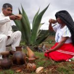 Haciendas pulqueras