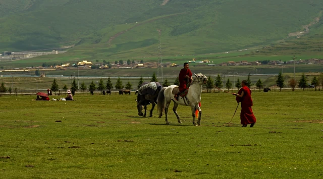 Monjes tibetanos jóvenes —uno a caballo y otro a pie— en las praderas, pastoreando ganado.