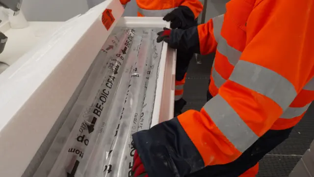 las muestras en cajas de hielo
