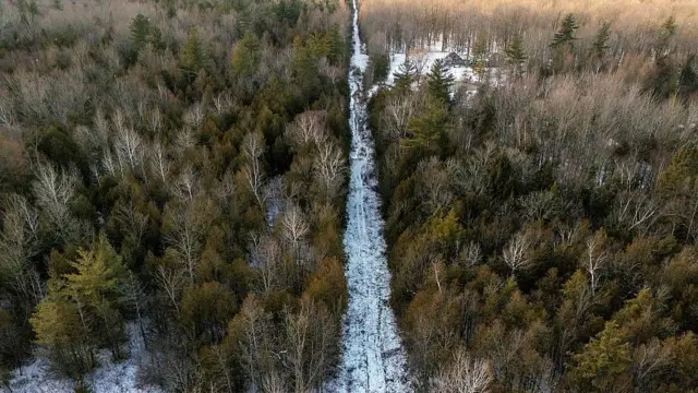 Camino nevado en línea recta entre bosques en la frontera entre Estados Unidos y Canadá