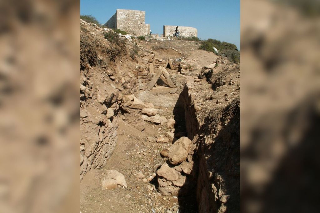 Según el estudio, los fósiles marinos fueron hallados en 2009 en la isla marroquí de Mogador, entremezclados con objetos romanos como cerámicas, vidrios y metales