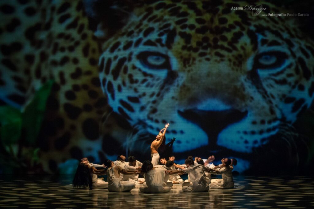Funciones de danza en Bellas Artes.