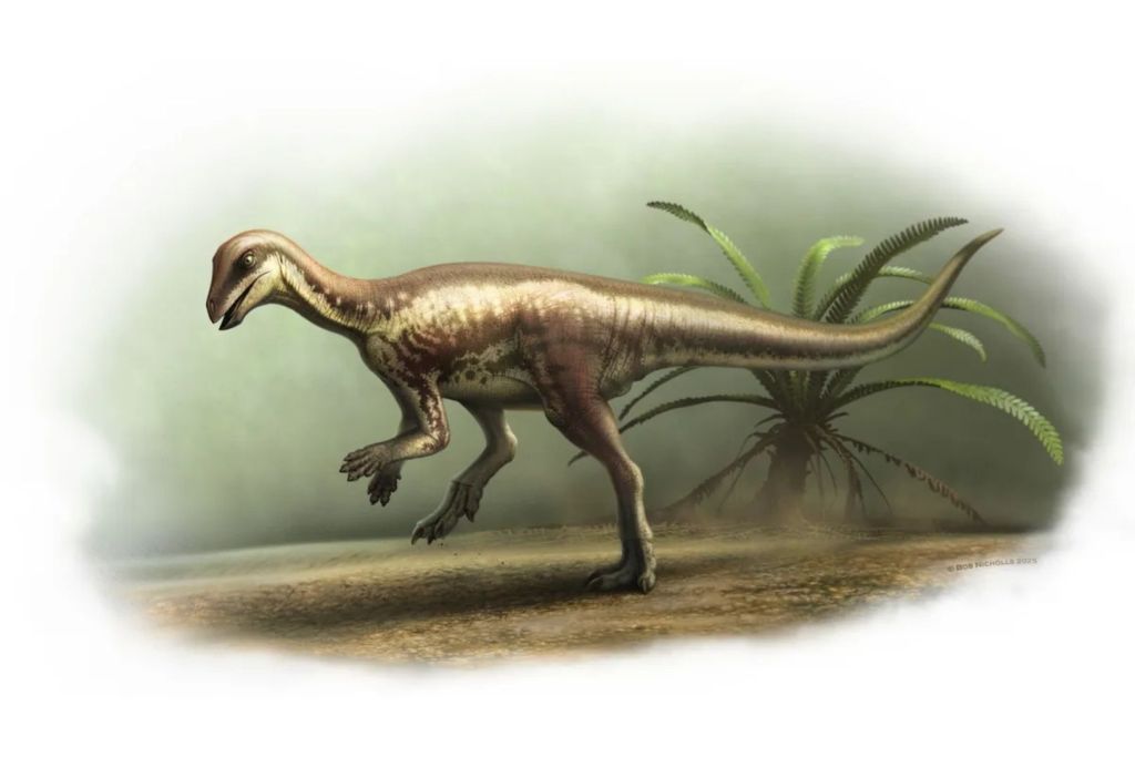 El recientemente identificado dinosaurio Enigmacursor mollyborthwickae fue hallado en la famosa Formación Morrison, en el estado de Colorado