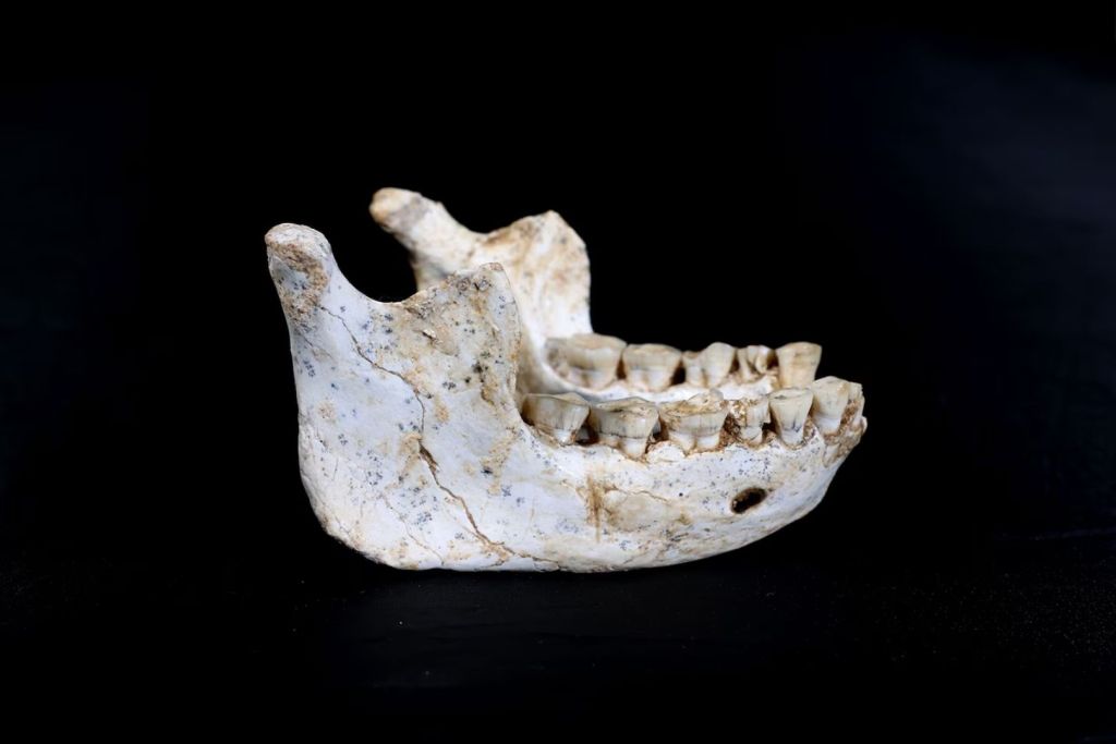 Un pequeño conjunto de fósiles, entre ellos una mandíbula, descubierto en una cueva de Casablanca (Marruecos), ha revelado la existencia de un grupo humano arcaico hasta ahora desconocido que está desafiando lo que creíamos saber sobre nuestros orígenes