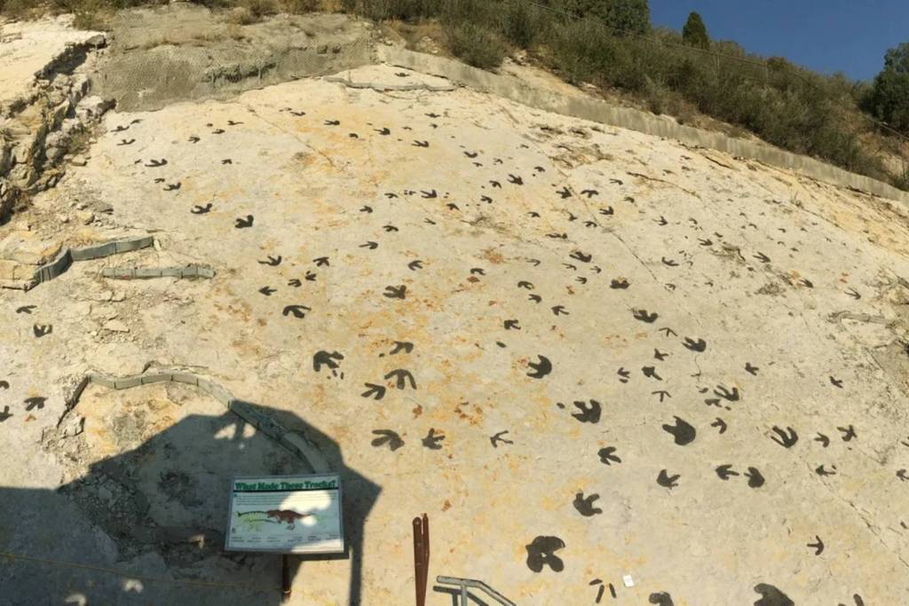 Dinosaur Ridge, al oeste de Denver, es uno de los sitios más famosos del planeta para estudiar huellas de dinosaurios preservadas en la roca desde hace millones de años