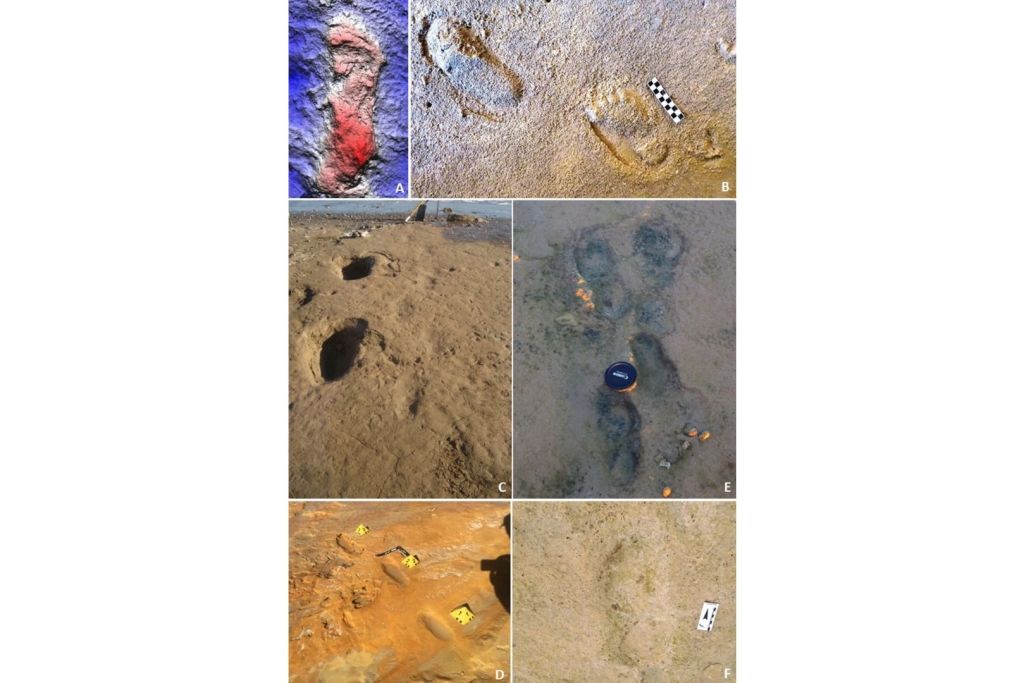 Ejemplos de huellas de homínidos en antiguos entornos costeros del Pleistoceno