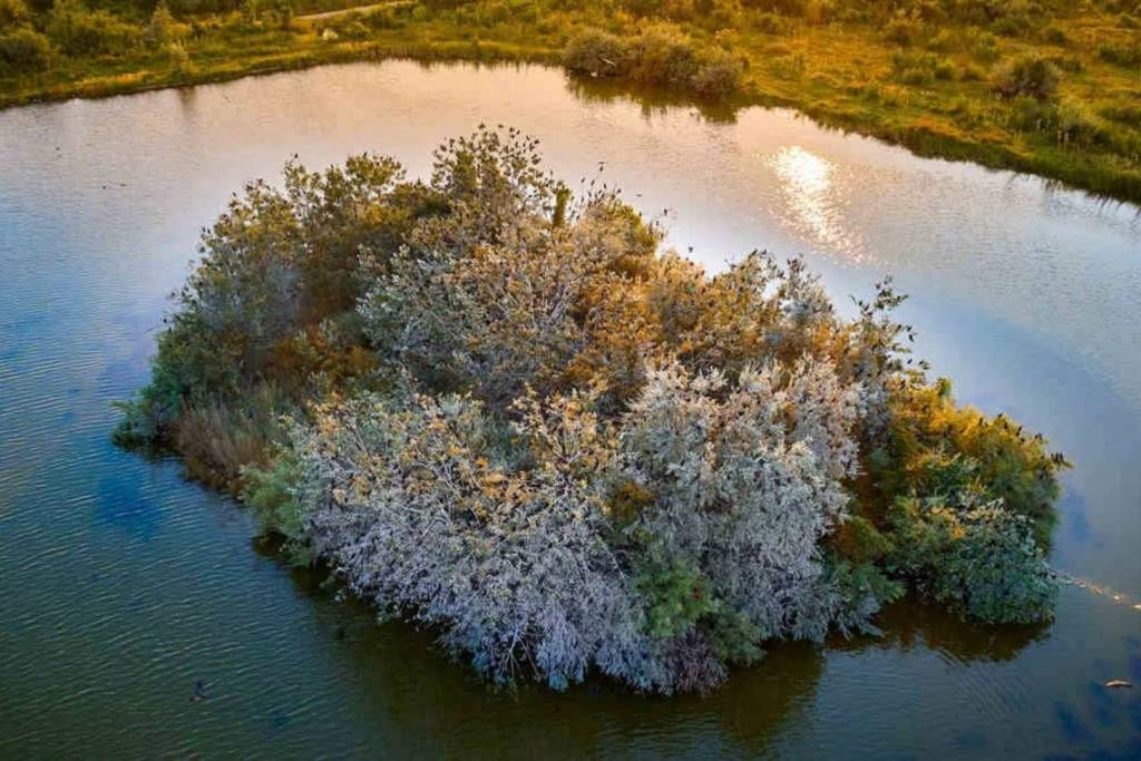 Vista aérea de un islote en el río Olt, cercano al lugar donde se descubrieron los fósiles en Rumanía