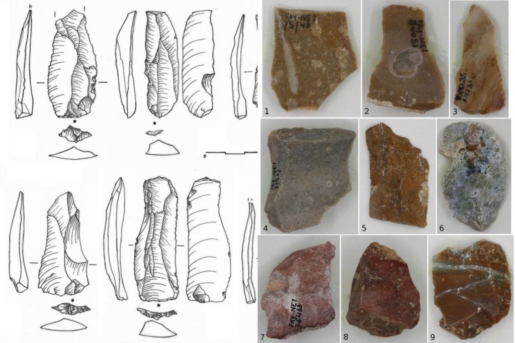 Conjunto de artefactos líticos encontrados en el yacimiento