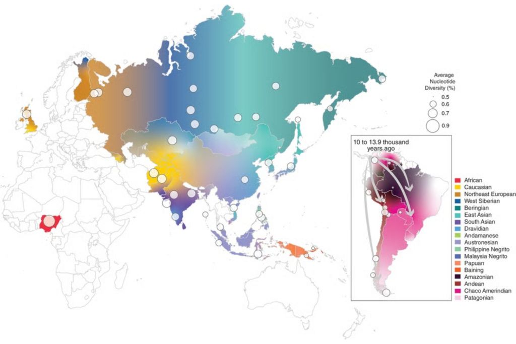 Ascendencia genética y diversidad nucleotídica