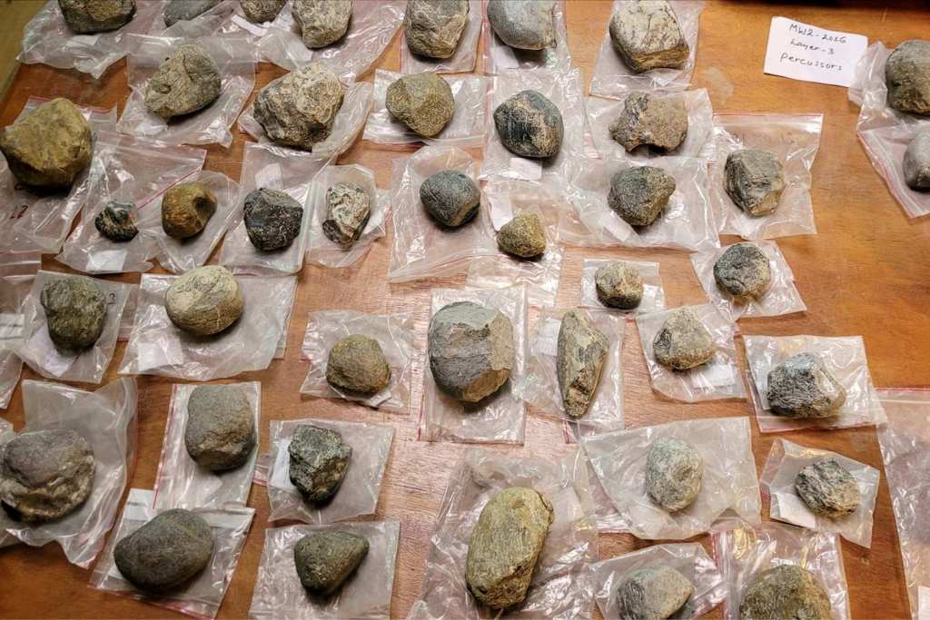 Algunas de las piedras y herramientas encontradas en el yacimiento