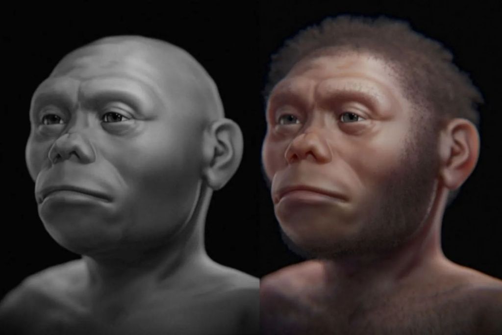 Una drástica disminución de las lluvias pudo haber sido un factor decisivo en la desaparición de Homo floresiensis