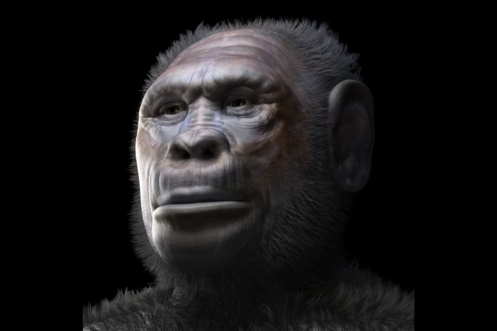 Esta reconstrucción facial muestra a un individuo masculino de Homo georgicus, procedente de las excavaciones de Dmanisi