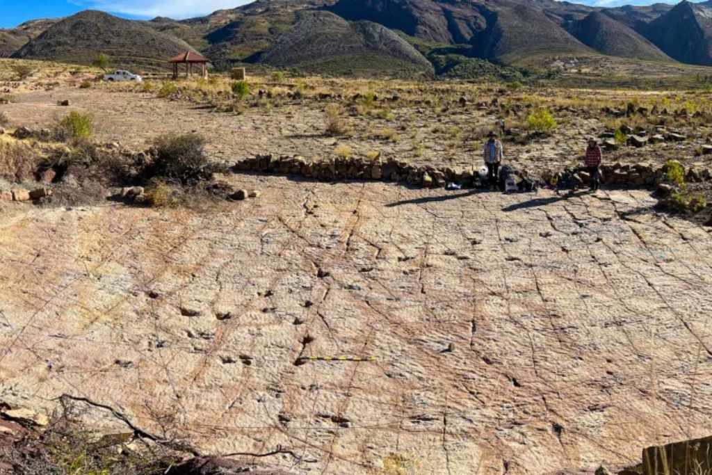 Yacimientos como el de Carreras Pampa permiten reconstruir la forma en que los dinosaurios se desplazaban. En este lugar se han identificado más de 16.000 huellas de terópodos, una cifra sin precedentes