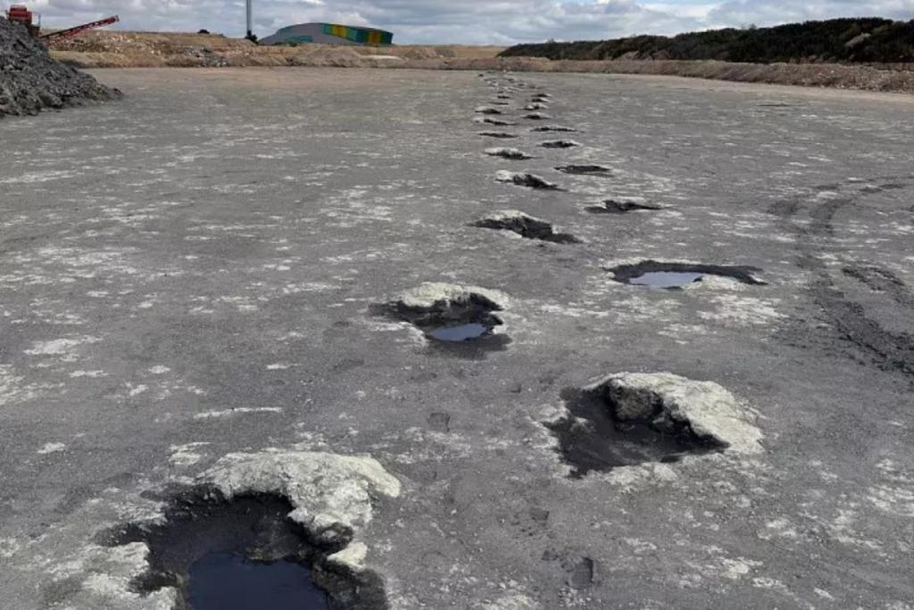 Algunas de las huellas se extienden a lo largo de 150 metros y podrían continuar aún más dentro de la cantera