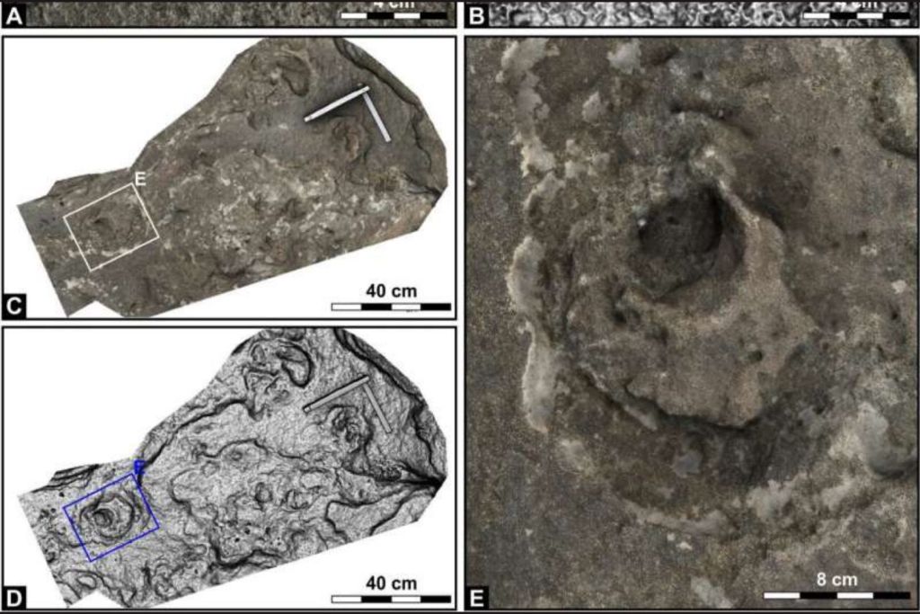Rastros fósiles hallados en el segundo yacimiento de huellas