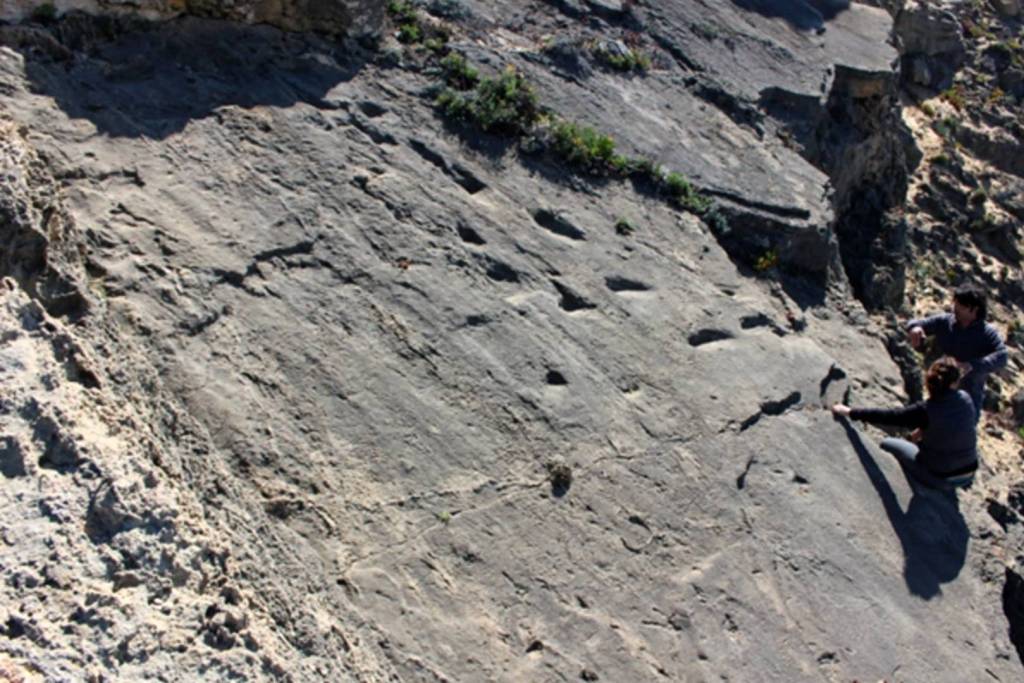 Vista general del yacimiento principal con huellas de homínidos en el acantilado norte de la playa de Monte Clérigo, en Portugal