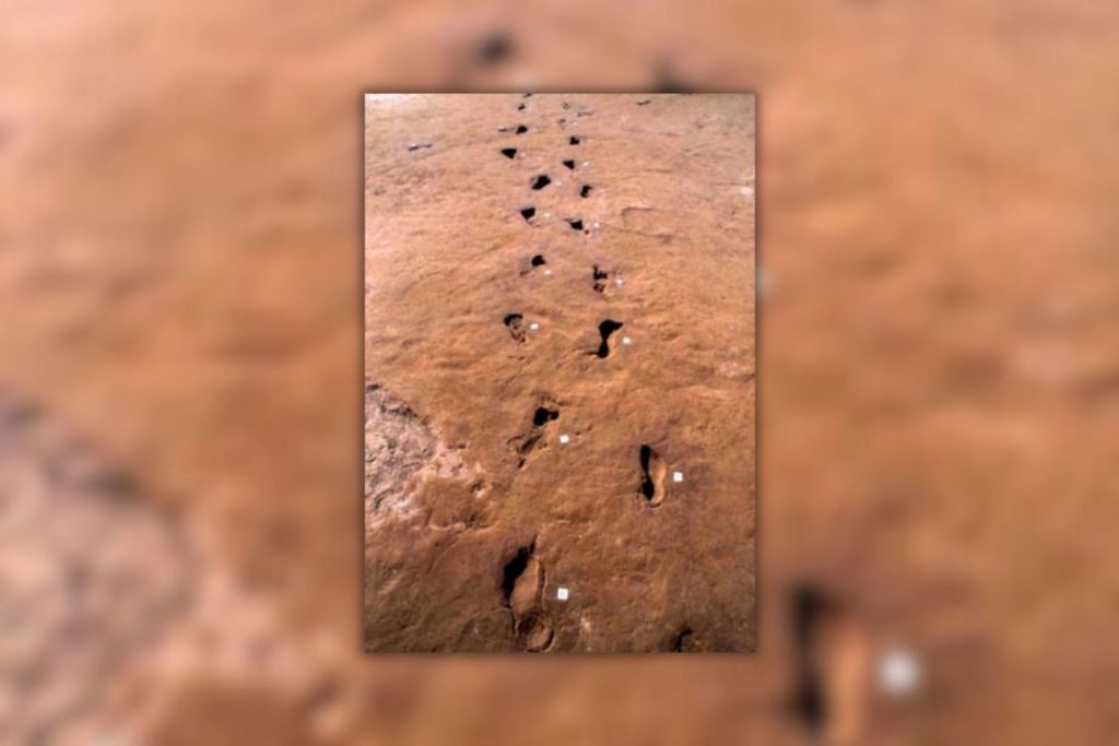 Huellas humanas impresas en los depósitos de ceniza dejados por la nube piroclástica, testimonio de la huida desesperada de grupos enteros durante la evacuación masiva de la llanura campana en la fase inicial de una erupción del Vesubio en la Edad del Bronce Antiguo