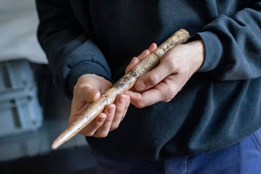 Es probable que los humanos del Paleolítico aprovecharan los restos de ballenas varadas en las costas del golfo de Vizcaya para fabricar herramientas