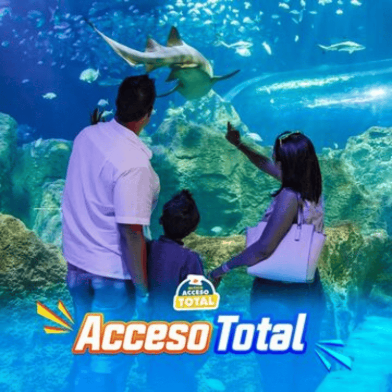  ESPECIAL/ACUARIOMICHIN