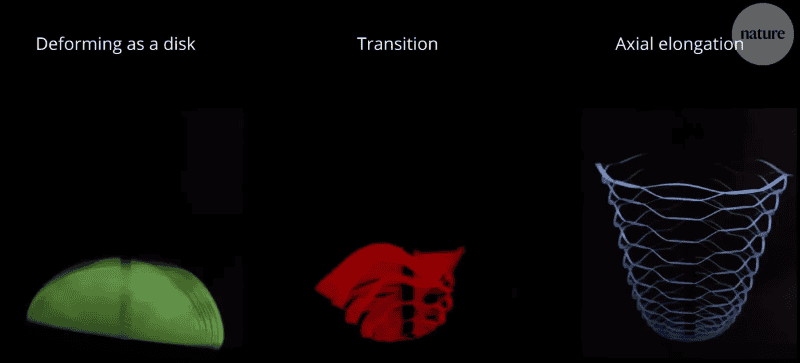 ESPECIAL / REVISTA NATURE 