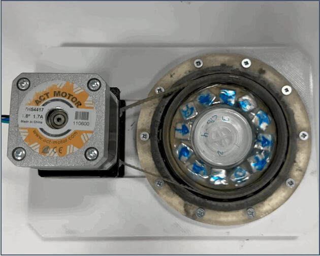 Magnetogenetica. 
