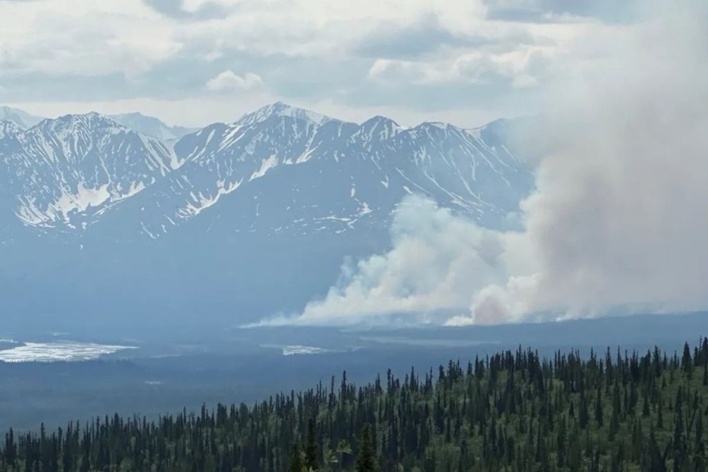 La tundra, tradicionalmente inhóspita para el fuego por su humedad y frío extremos, comienza a arder con inquietante frecuencia en Alaska