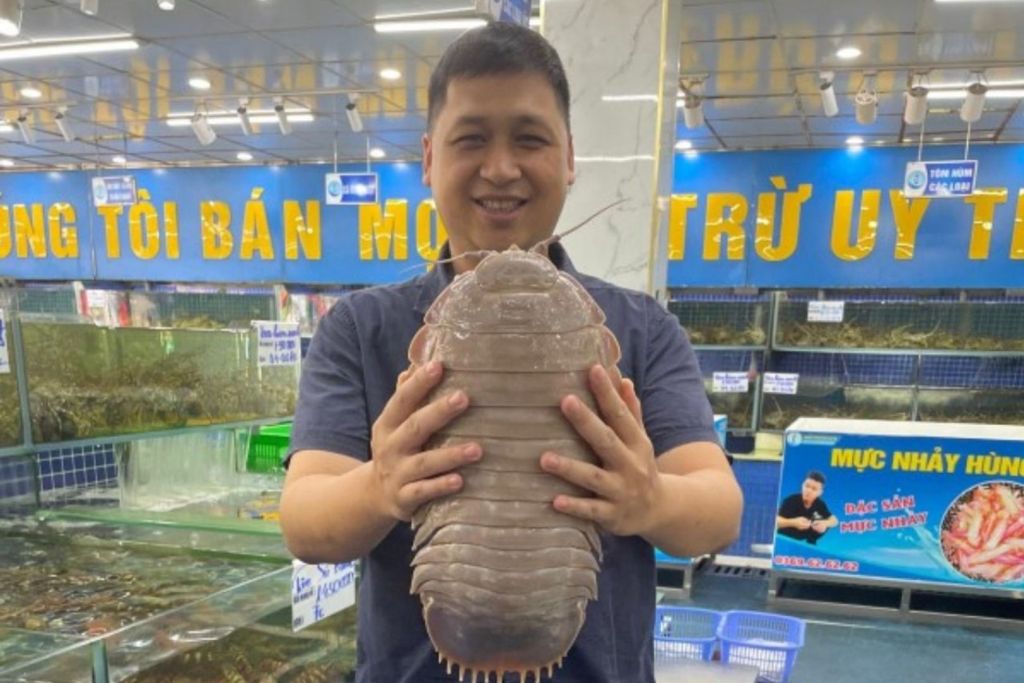 El Dr. Nguyen Thanh Son sostiene un ejemplar gigante de Bathynomus jamesi, con un peso de 2,62 kg, proveniente de un mercado de mariscos en Hanói, Vietnam, en octubre de 2024