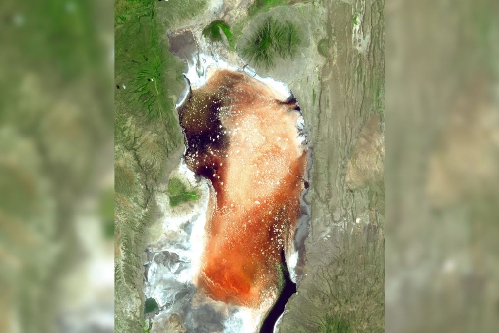 El misterioso lago de Tanzania que petrifica animales y da vida a millones de flamencos