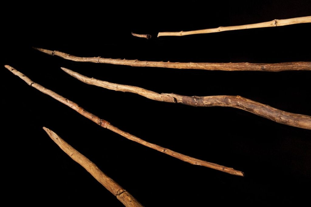 Esta imagen, tomada en 2014 y facilitada por los investigadores, muestra un conjunto de lanzas de caza fabricadas en madera, con una antigüedad estimada de unos 200.000 años, halladas en una mina de carbón en la localidad alemana de Schöningen