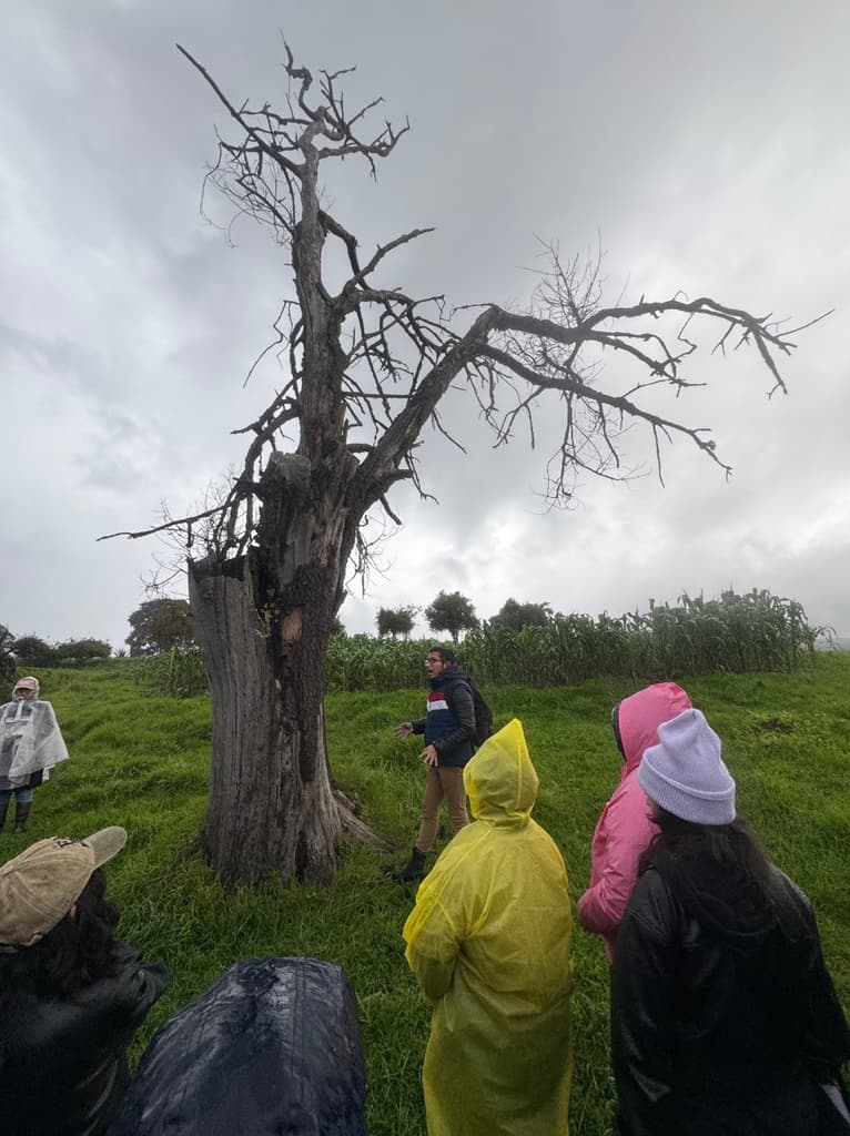 Qué hacer en Tlaxco, Tlaxcala: comida, historia y luciérnagas | Foto: Liz Basaldúa